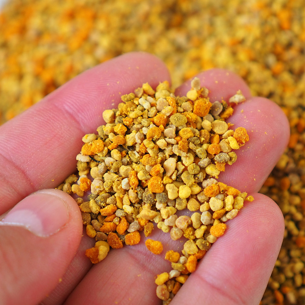 Mannavita torkat mångblommigt bipollen • 500 g