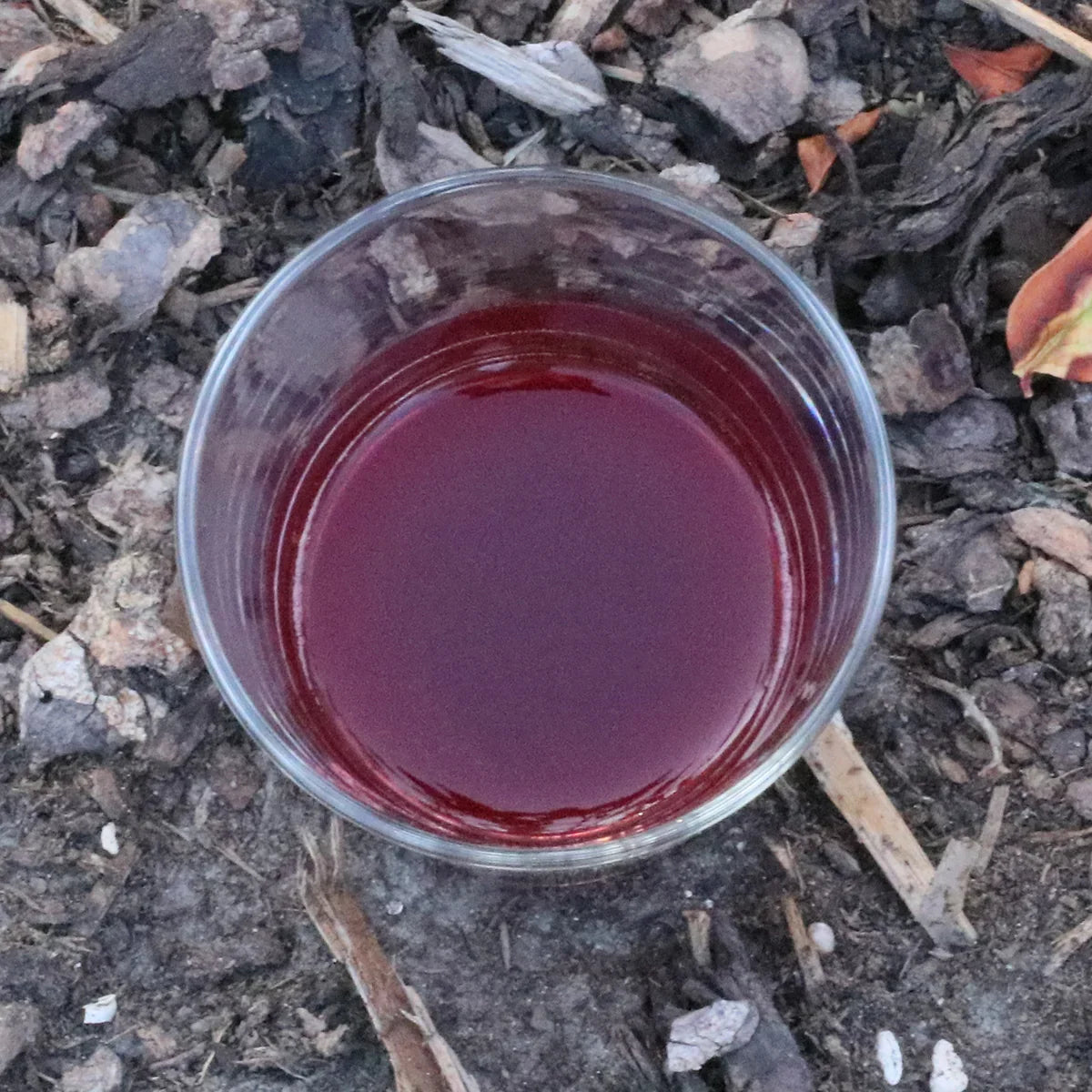 Mannavita Cranberry 100% pure pressed juice • 500 ml - Mannavita