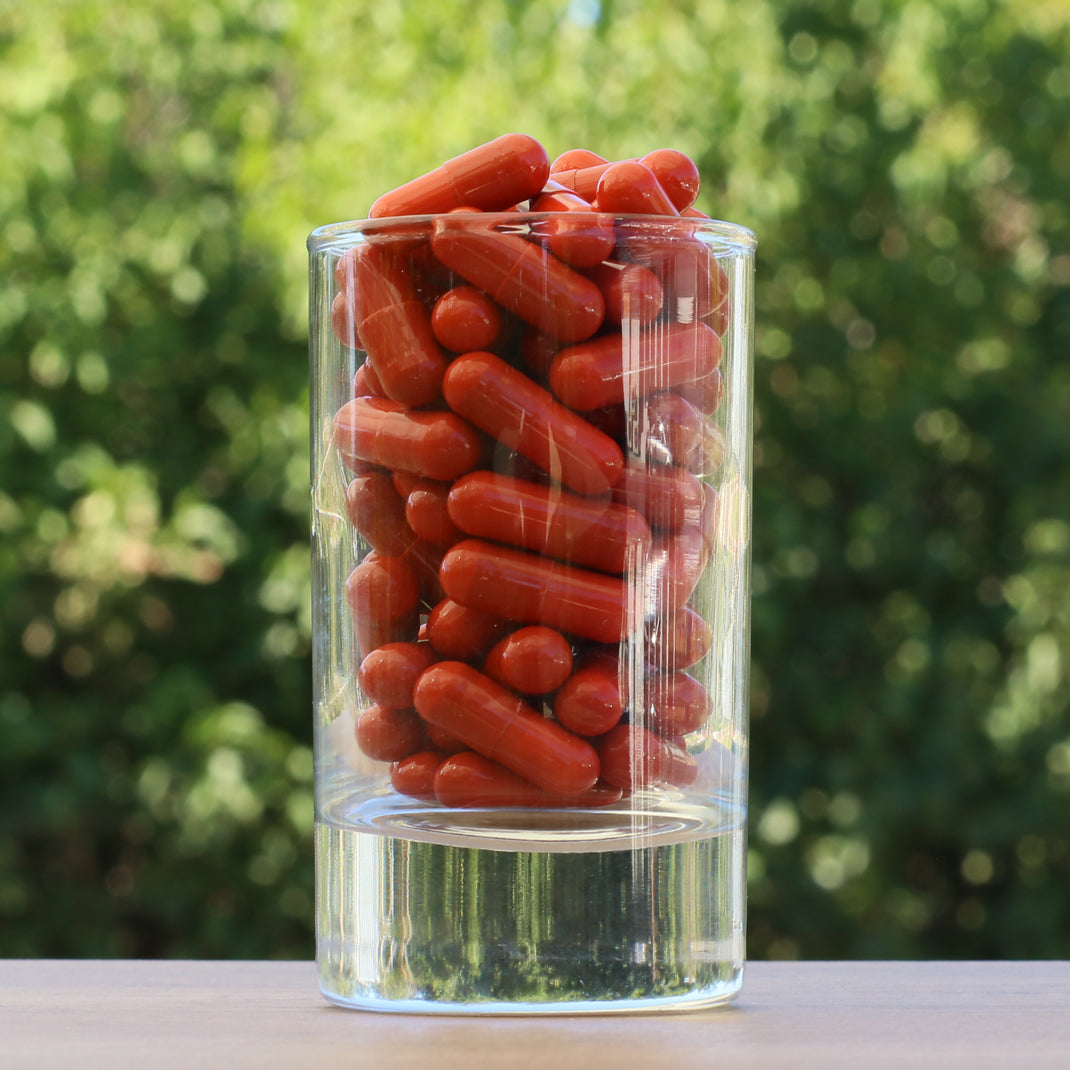 FEMNOX Bidrottninggelé + Inositol + Folsyra + B12-komplex • 90 kapslar