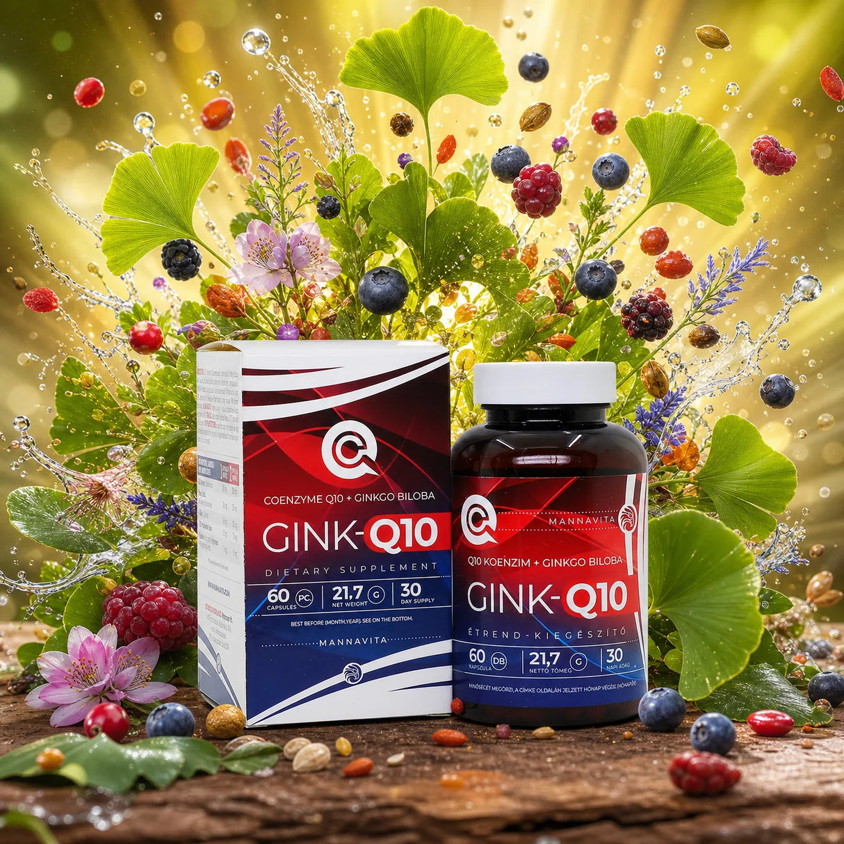 GINK-Q10 • Q10-koenzym + Ginkgo Biloba-komplex • 60 kapslar