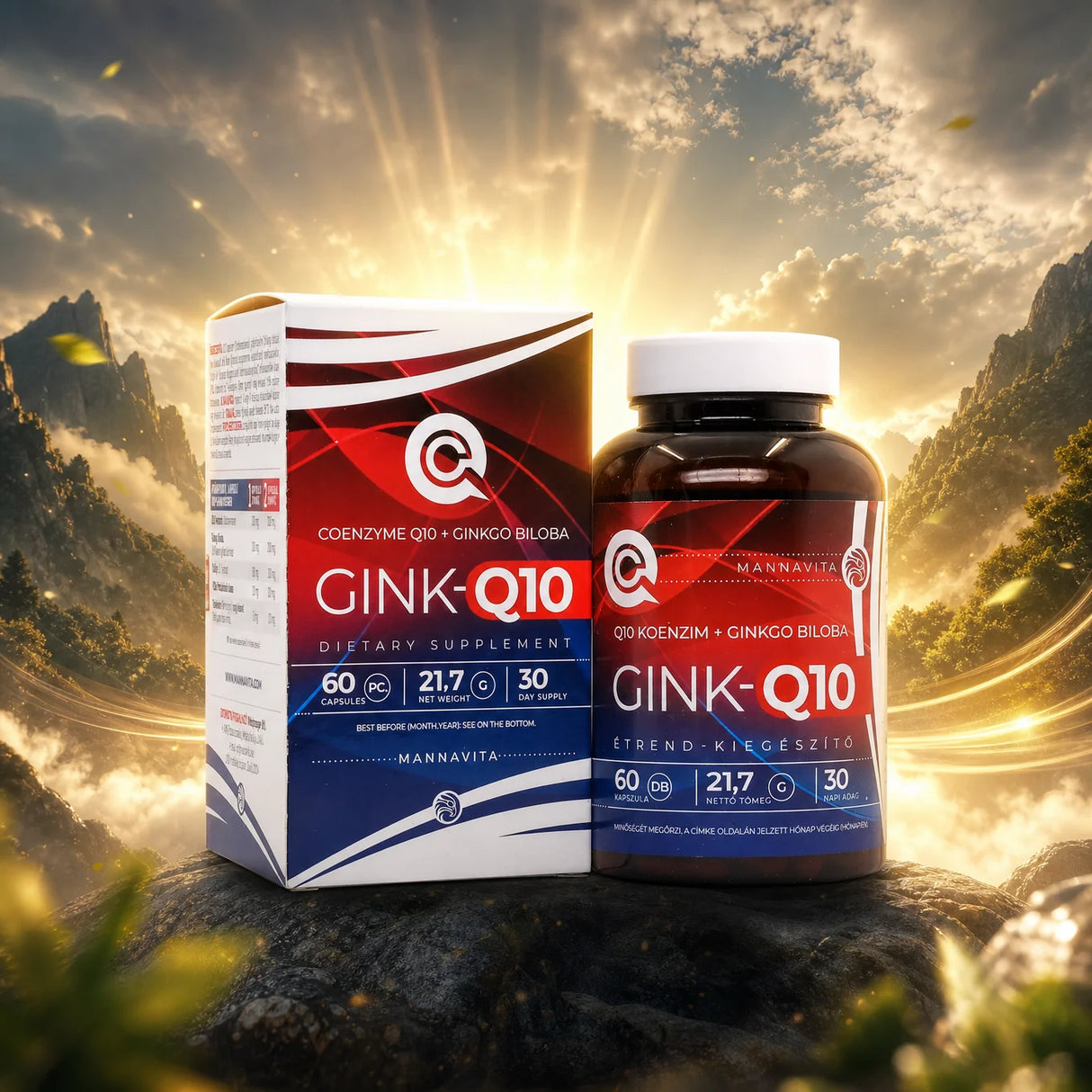GINK-Q10 • Q10-koenzym + Ginkgo Biloba-komplex • 60 kapslar