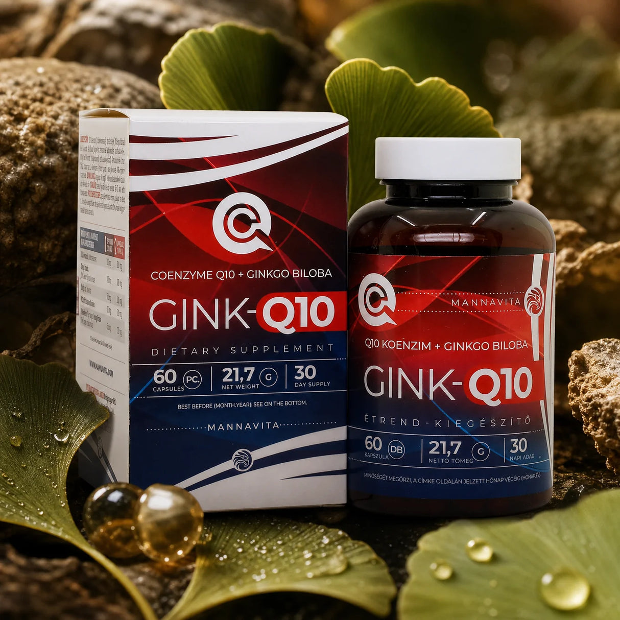 GINK-Q10 • Q10-koenzym + Ginkgo Biloba-komplex • 60 kapslar