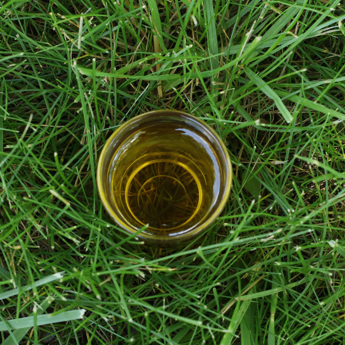 Mannavita ungersk kallpressad druvkärnolja • 250 ml