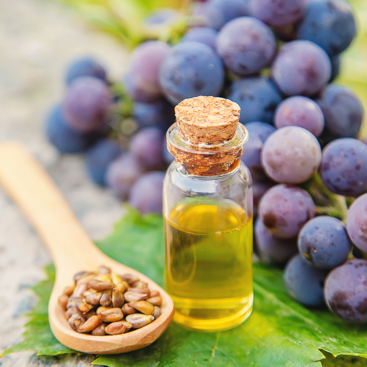 Mannavita ungersk kallpressad druvkärnolja • 250 ml