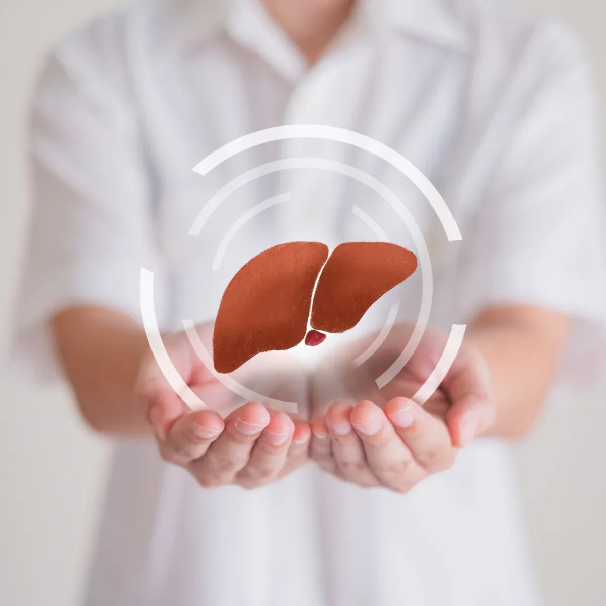 HEPADEX liver-regenerating and liver health-improving complex • 60 capsules - Mannavita