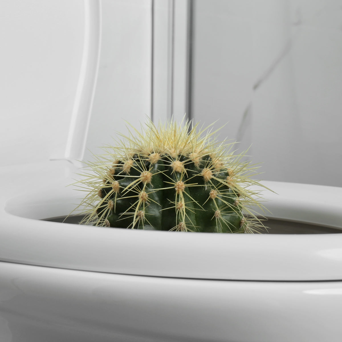 Proctan salva mot hemorrojder • 50 ml