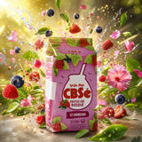 CBSé yerba mate-te • Skogsfrukter • 500 g