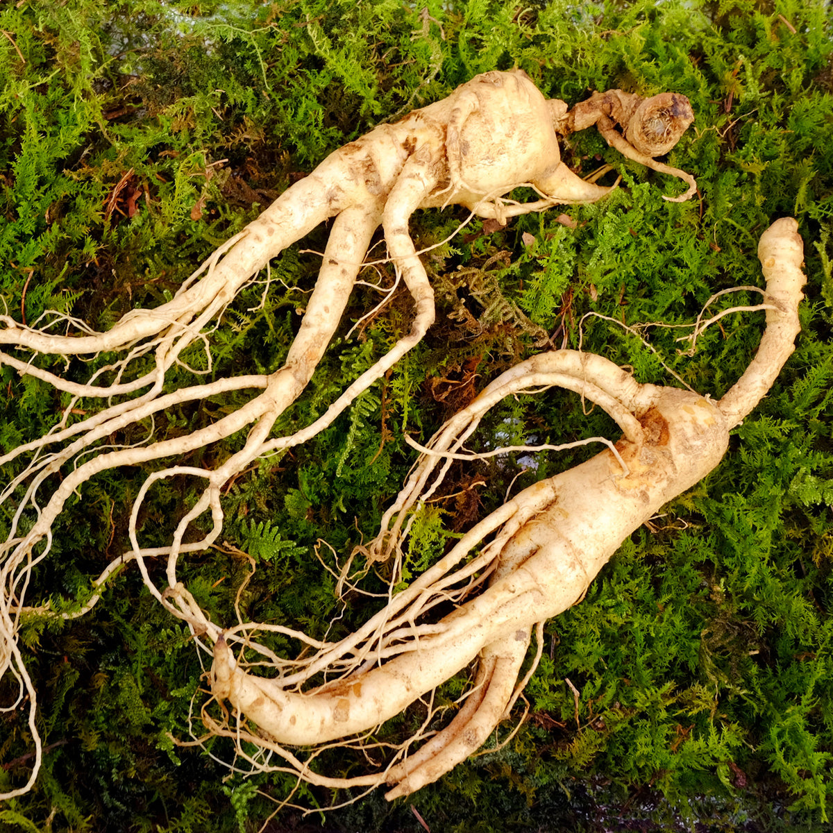 ENDOQIN Manpower Forte • 90 kapslar