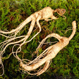 ENDOQIN Manpower Forte • 90 kapslar