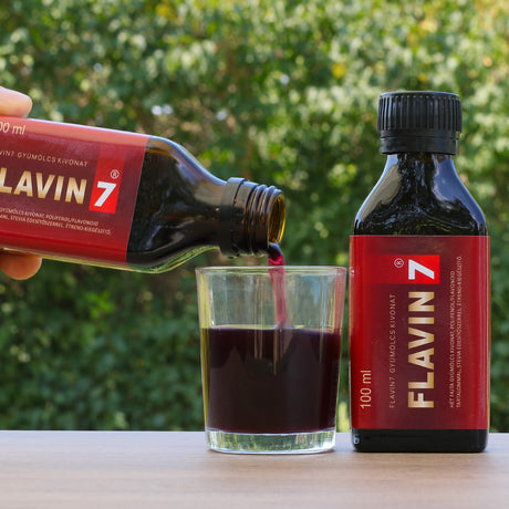 FLAVIN7 Bioflavonoidkomplex • 7 x 100 ml