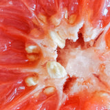 Mannavita Extrakt av grapefruktkärnor droppar • 100 ml