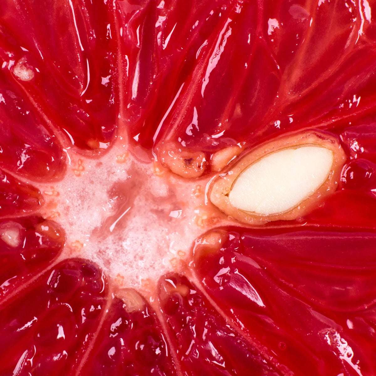 Mannavita Extrakt av grapefruktkärnor droppar • 100 ml