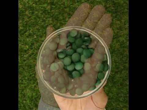 Mannavita Spirulina 500 mg tabletter • 180 st.