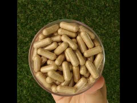 Ashwarax för lindring av ångest, panik och sömnlöshet • 90 kapslar