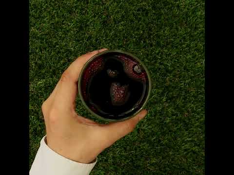 Mannavita Tranbär 100% ren juice • 500 ml