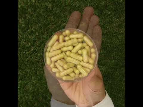 ENZIMA+ matsmältningsenzymkomplex med Betain HCL • 90 kapslar