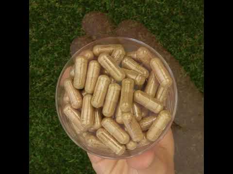 HEPADEX Leverregenererande och Leverhälsoförbättrande komplex • 60 kapslar