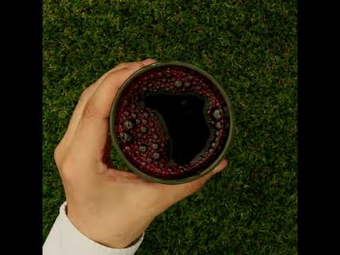 Mannavita Blåbär 100% ren juice • 500 ml