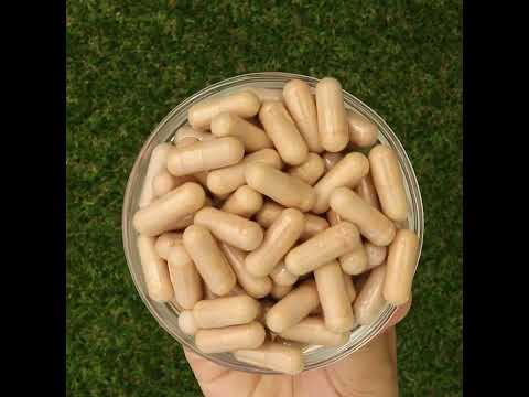 PrOcum Eye strengthening complex • 60 kapslar