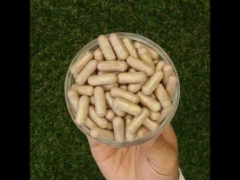 Mannavita Vitamin C-komplex • 250 mg bioaktiv • 60 kapslar