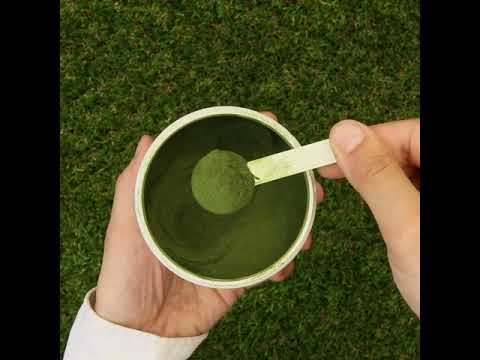 Mannavita rå vetegräsjuicepulver • glutenfritt • 140g