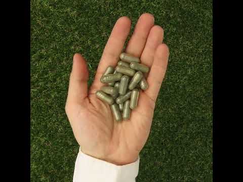 IMUNEX algkomplex • med 5 alger • 180 kapslar