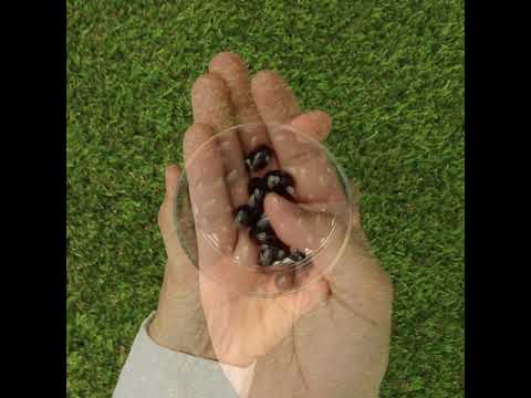 MegaKRILL 1500 mg krillolja + fiskolja • 90 kapslar