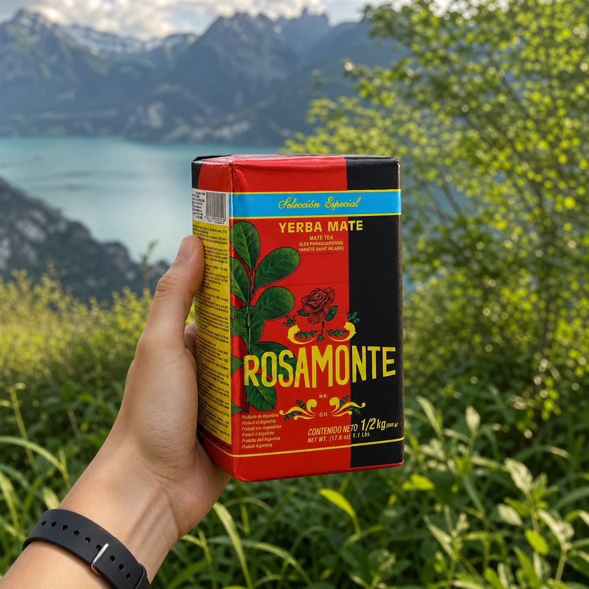 Rosamonte yerba mate-te • SPECIAL • 500 g