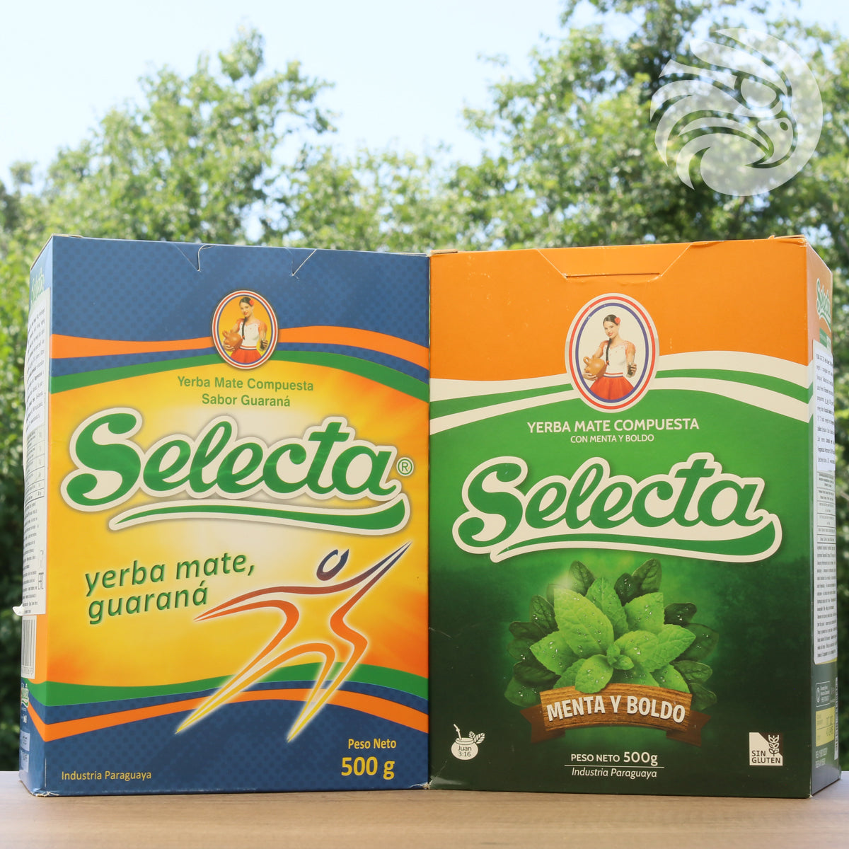 Selecta yerba mate-te • Energi, guarana • 500 g